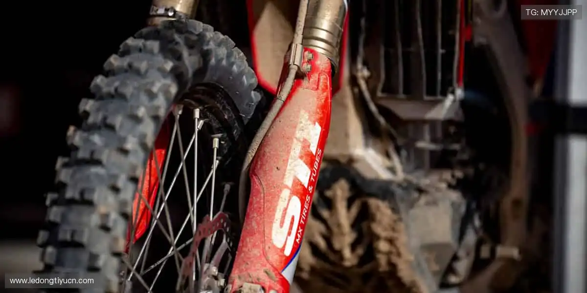 和平精英职业联赛:战术竞技巅峰对决,绝地反击勇夺冠军